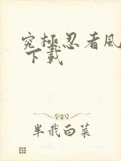 究极忍者风暴4 下载