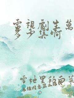 电视剧生万物有多少集啊