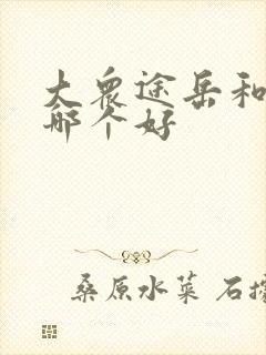 大众途岳和朗逸哪个好