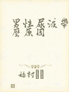 男性尿液带血什么原因