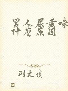 男人尿黄味重是什么原因