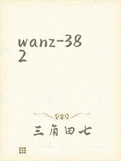 wanz-382