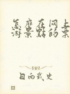 怎么在网上买旅游景点的票