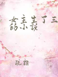 女主生了三胞胎的小说