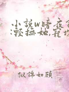 小说w暗夜销婚:轻抚她,宠坏她》