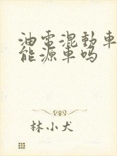 油电混动车是新能源车吗