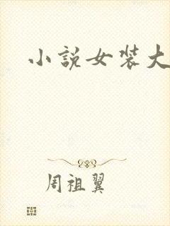 小说女装大佬