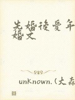 先婚后爱年代军婚文