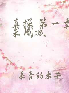 真探 第一季 未删减