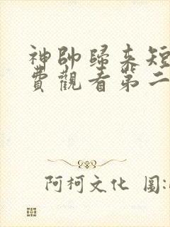 神帅归来短剧免费观看第二季全集