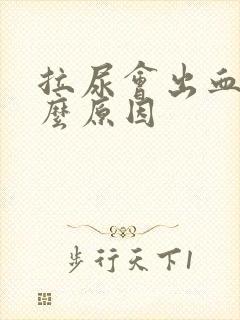 拉尿会出血是什么原因