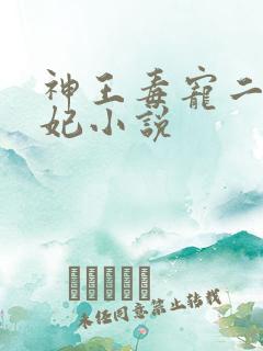 神王毒宠二嫁王妃小说