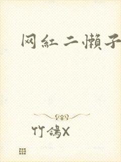 网红二懒子车祸