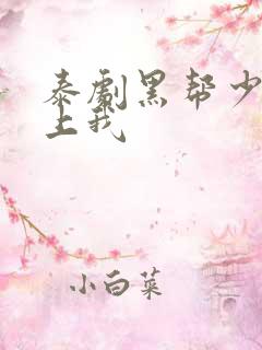 泰剧黑帮少爷爱上我