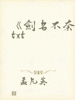 《剑名不奈何》txt