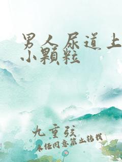 男人尿道上长了小颗粒