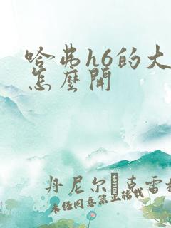 哈弗h6的大灯怎么开