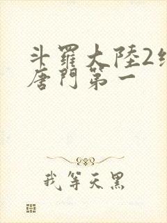 斗罗大陆2绝世唐门第一