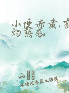 小便赤黄,有点灼热感