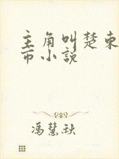 主角叫楚东的都市小说