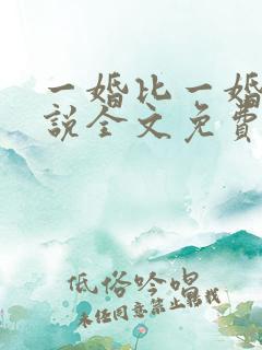 一婚比一婚高小说全文免费