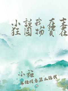 小说我在末世疯狂囤物资在线观看