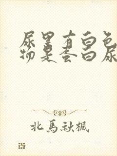 尿里有白色沉淀物是蛋白尿吗