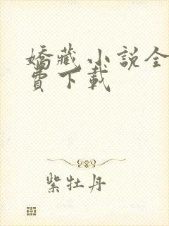 娇藏小说全文免费下载