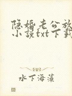 隐婚老公放肆宠小说txt下载