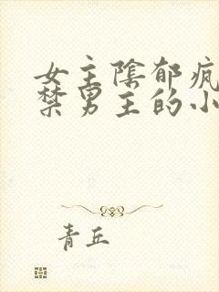 女主阴郁疯批囚禁男主的小说