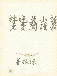 林晚荣小说全文免费阅读最新章节