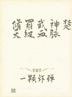 修罗武神楚枫的天级血脉