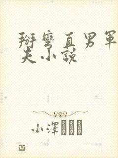 掰弯直男军官姐夫小说