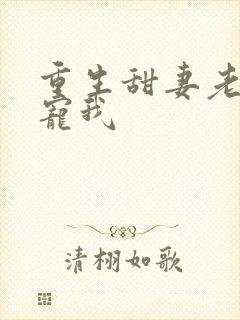 重生甜妻老公请宠我