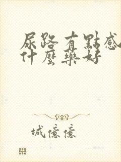 尿路有点感染吃什么药好