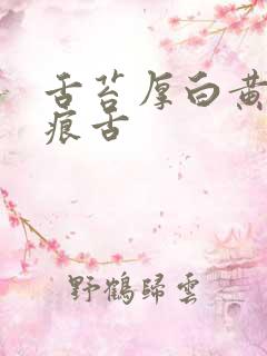 舌苔厚白黄有齿痕舌