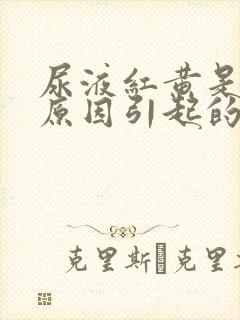 尿液红黄是什么原因引起的