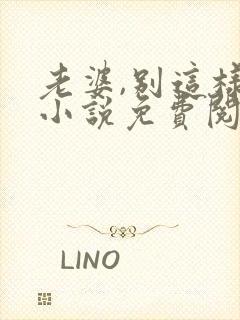 老婆,别这样 小说免费阅读