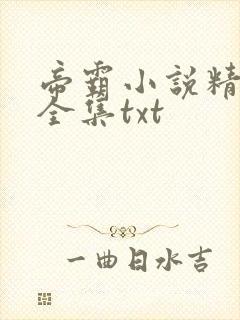 帝霸小说精校版全集txt