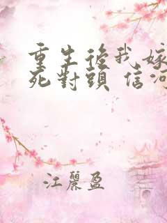 重生后我嫁给了死对头 信河