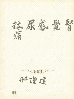 拉尿感觉肾有点痛