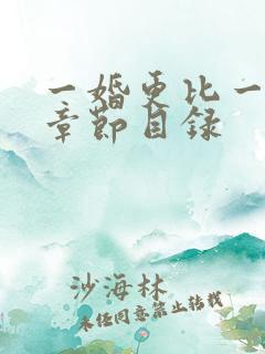 一婚更比一婚高章节目录