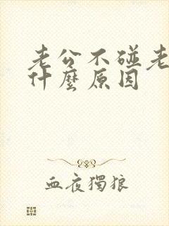 老公不碰老婆是什么原因