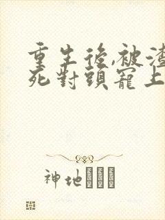 重生后,被渣男死对头宠上天