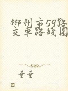 郴州市59路公交车路线图