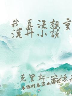 我真没想重生陈汉升小说