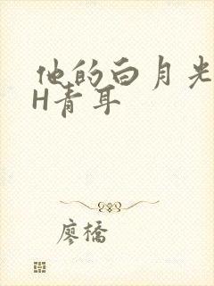 他的白月光HVH青耳