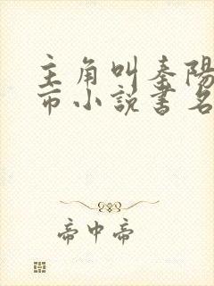 主角叫秦阳的都市小说书名