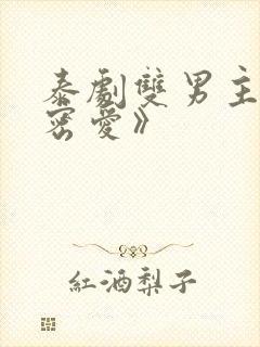 泰剧双男主《秘密爱》