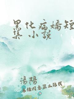 黑化病娇短篇合集 小说